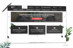 Дизайн интернет магазина Shungitehouse