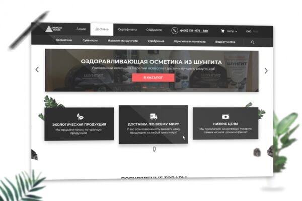 img3920271.png