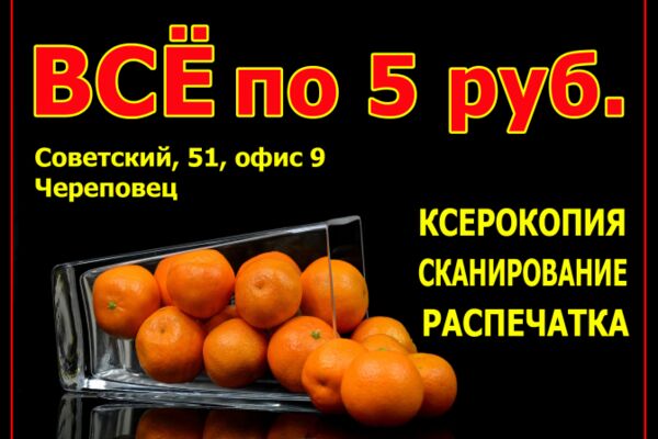 img4244519.png