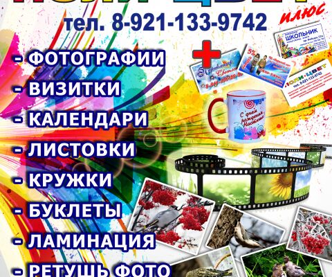 img4244540.png