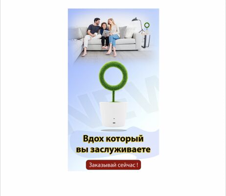 img4208716.png