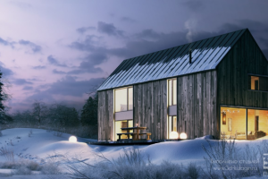 3D визуализация экстерьера - дом в скандинавском стиле