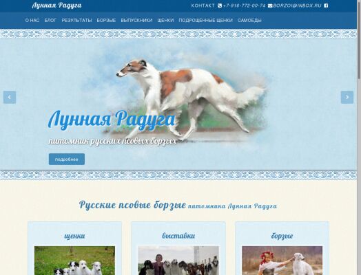img3196656.png