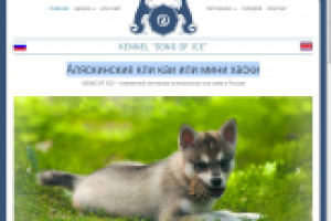 Питомник Аляскинские кли каи или мини хаски