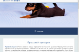 Лэндинг. Пражский крысарик