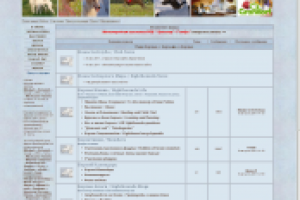 Клуб любителей борзых