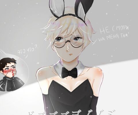img4227041.png