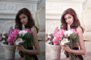 Работа 1526469