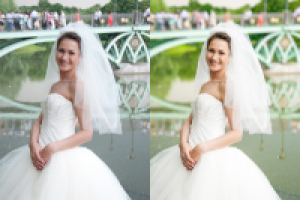 Работа 1585780