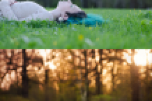 Работа 1567061