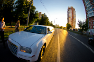 Работа 1567082