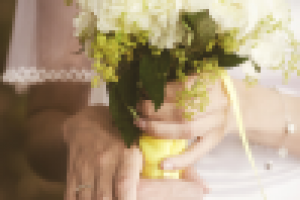 Работа 1573547