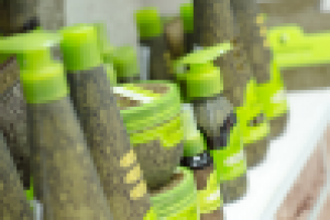 Работа 1232065