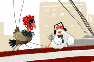 Куры в городе