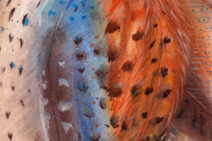 Работа 4119979