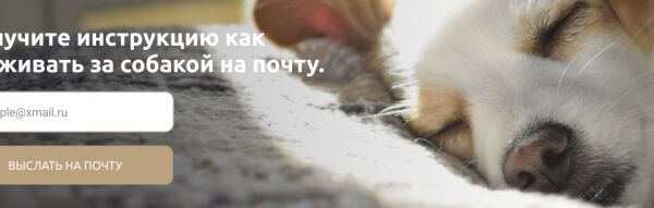 img4240398.png
