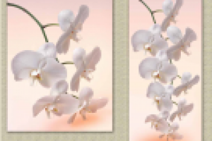 ФОТОМОНТАЖ  ДЛЯ ШКАФА-КУПЕ