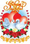 img119378.png