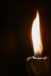 img516841.png