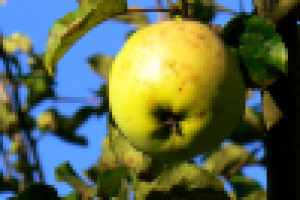 Просто макро