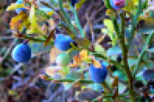 Просто макро