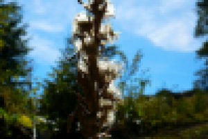 Просто макро