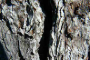 Просто макро