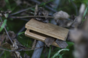 съёмка для http://www.flixwood.ru/