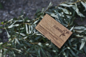 съёмка для http://www.flixwood.ru/