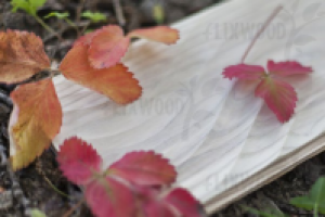 съёмка для http://www.flixwood.ru/