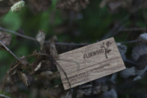 съёмка для http://www.flixwood.ru/