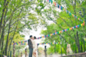 Работа 2724115