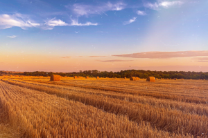 Работа 3998565