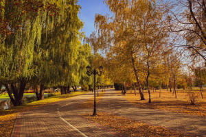 Работа 3998558