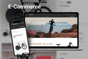 Интернет-магазин