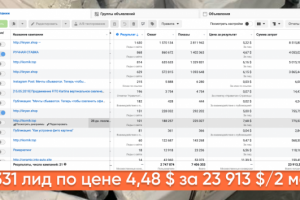 5331 лид по цене 4,48 $ за 23 913 $/2 мес