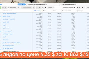 2495 лидов по цене 4,35 $ за 10 862 $/6 мес