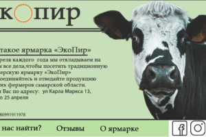 Ярмарка "ЭкоПир"