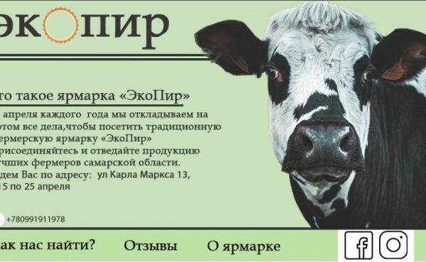 img4098254.png