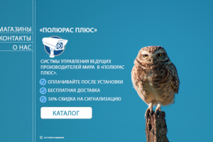 Polorus olus- Системы видеонаблюдения