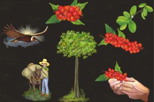 Иллюстрации к брошюре