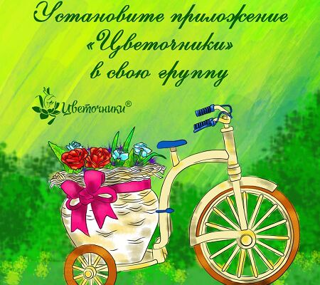 img3318539.png