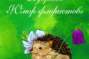 оформление поста