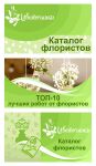 img3002968.png