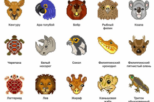 Животные2
