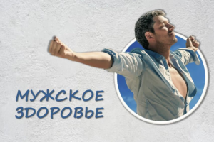 Презентация