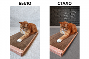 Фотомонтаж