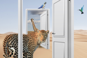 Фотомонтаж