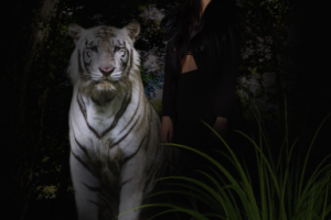 Фотомонтаж