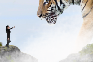 Фотомонтаж